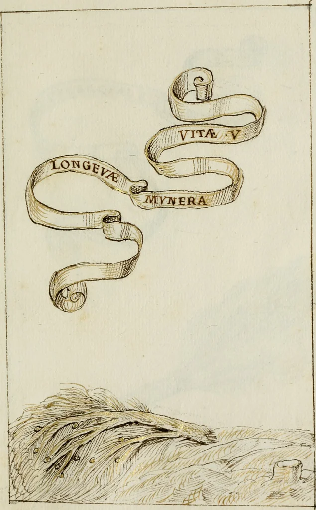 An illustration from Cento imprese, 1615, leaf 152