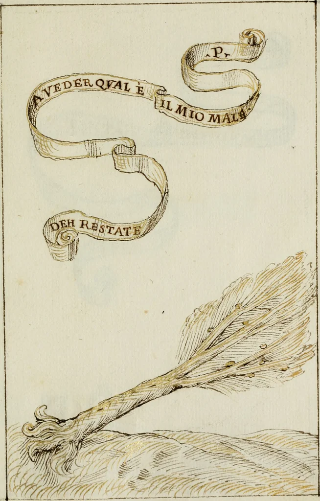 An illustration from Cento imprese, 1615, leaf 154