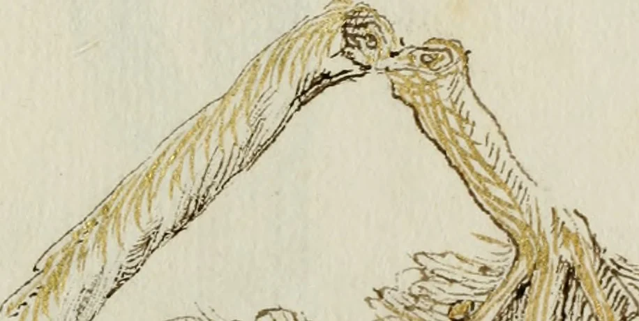 An illustration from Cento imprese, 1615, leaf 160