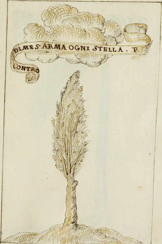 An illustration from Cento imprese, 1615, leaf 170