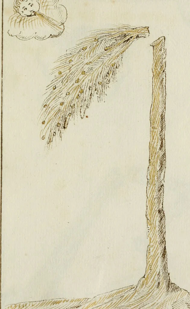 An illustration from Cento imprese, 1615, leaf 172