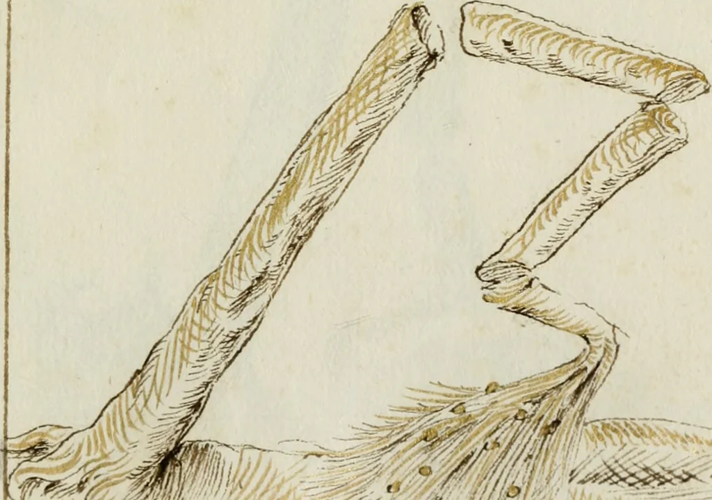 An illustration from Cento imprese, 1615, leaf 174