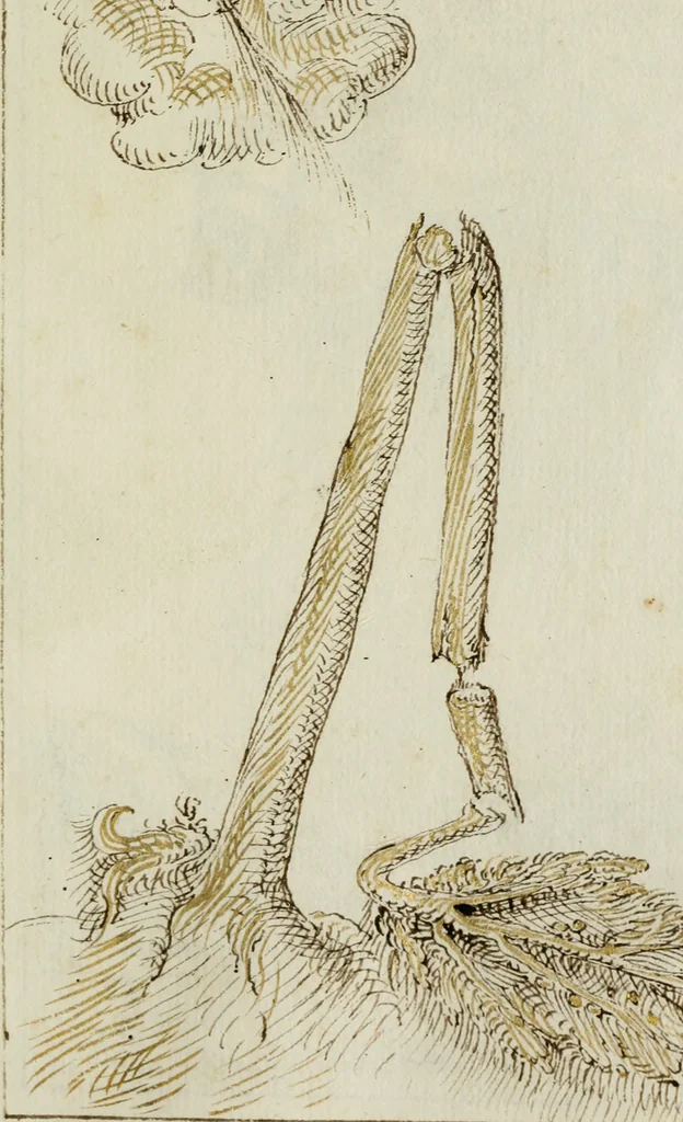 An illustration from Cento imprese, 1615, leaf 176