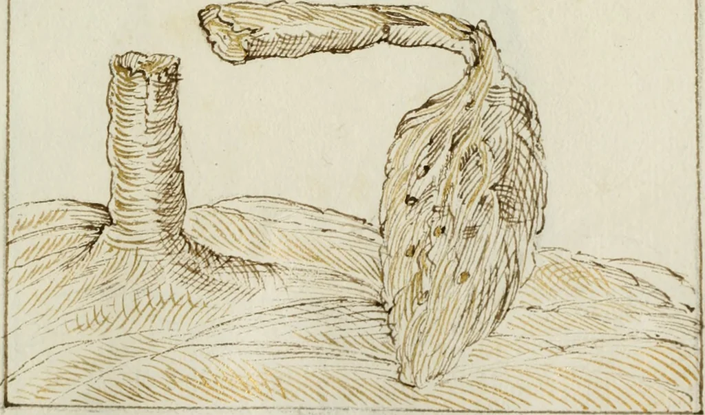 An illustration from Cento imprese, 1615, leaf 186