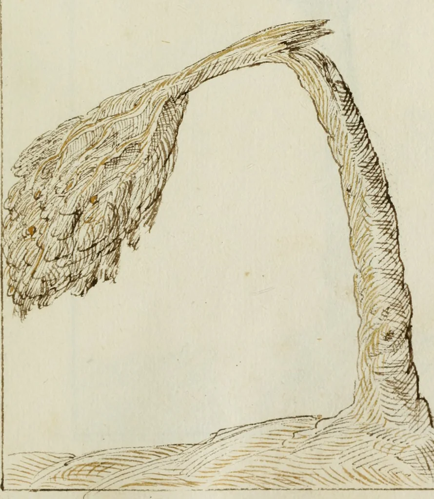 An illustration from Cento imprese, 1615, leaf 190