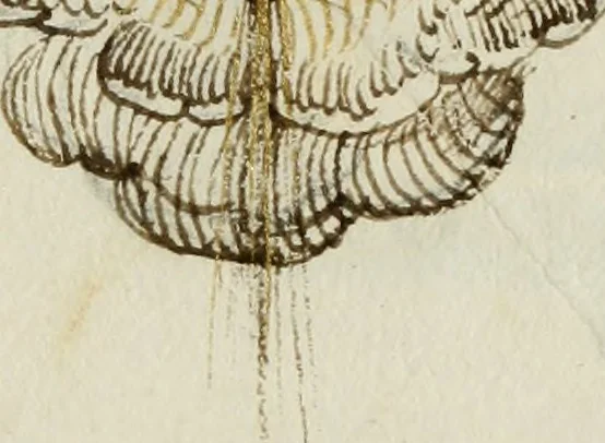 An illustration from Cento imprese, 1615, leaf 194