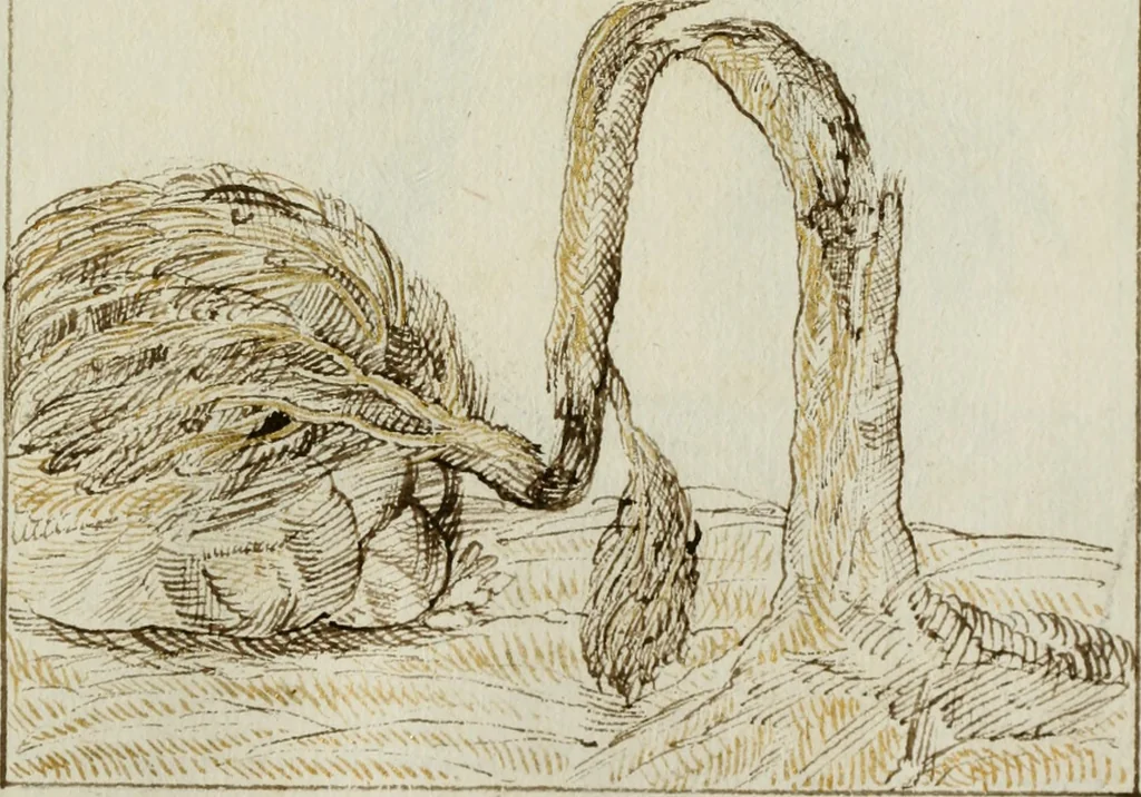 An illustration from Cento imprese, 1615, leaf 196