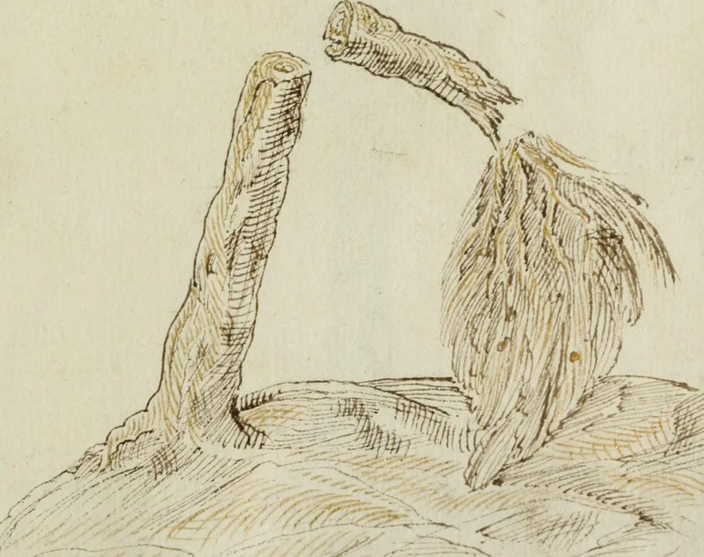 An illustration from Cento imprese, 1615, leaf 198