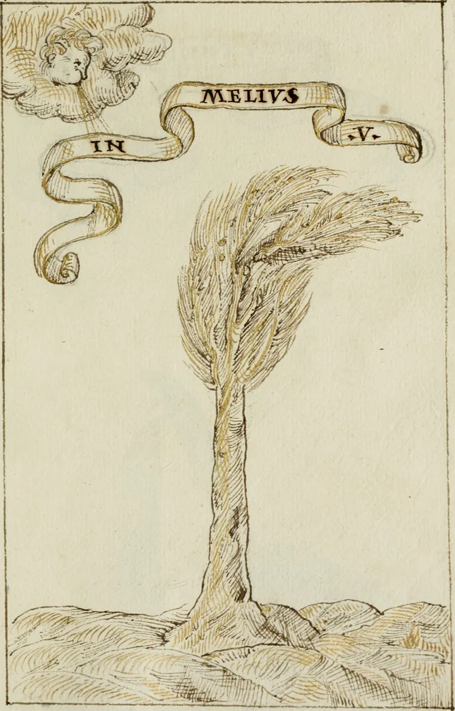 An illustration from Cento imprese, 1615, leaf 200