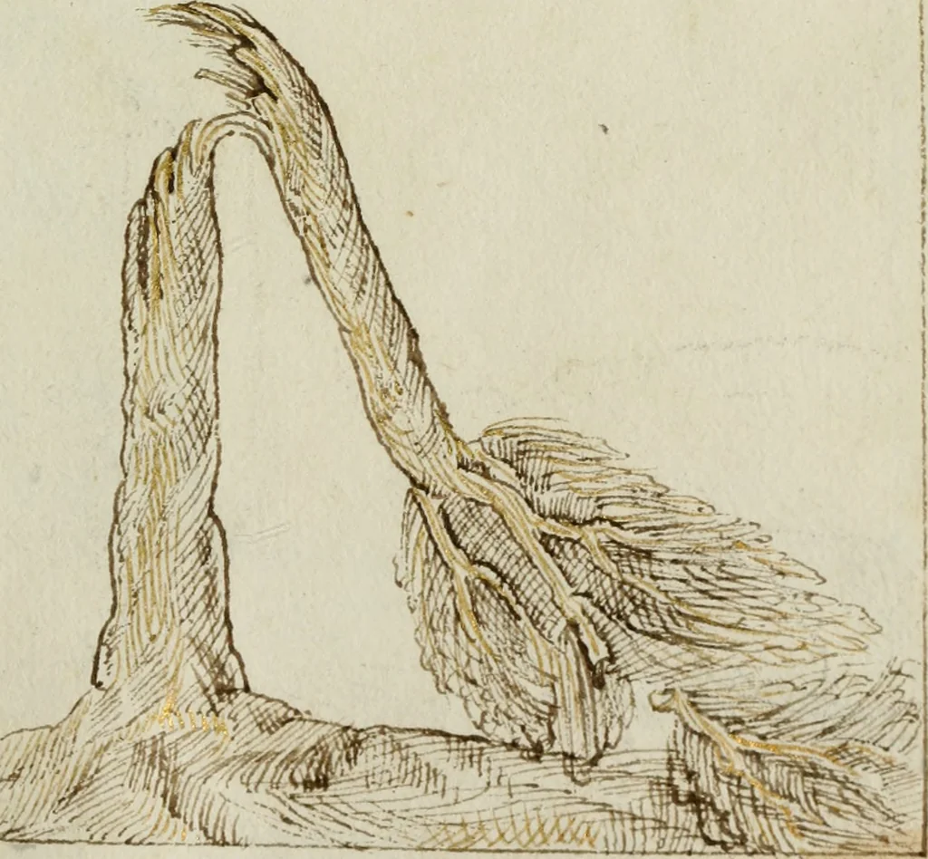 An illustration from Cento imprese, 1615, leaf 202