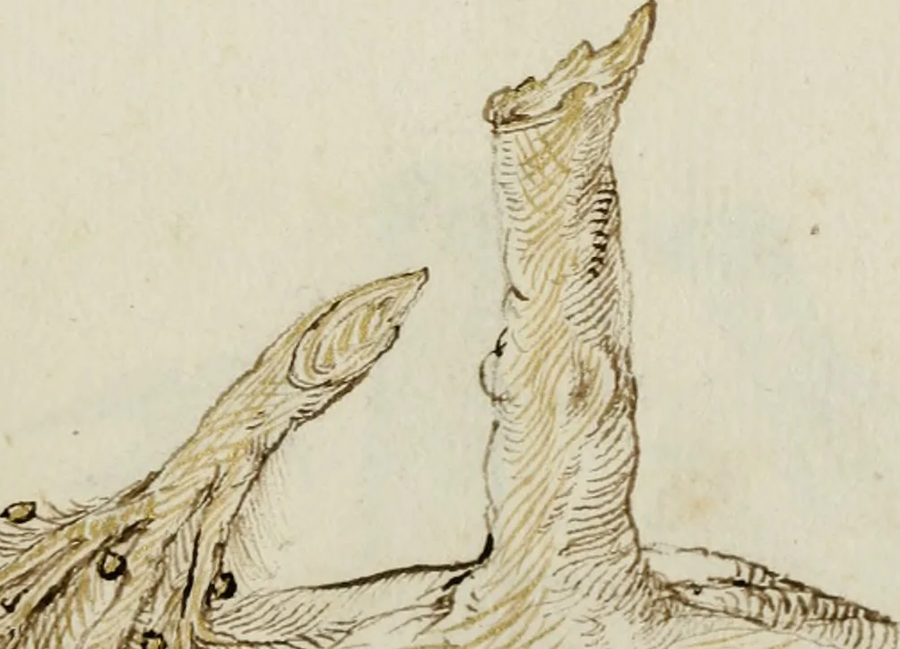 An illustration from Cento imprese, 1615, leaf 24