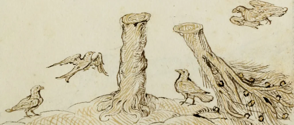 An illustration from Cento imprese, 1615, leaf 26