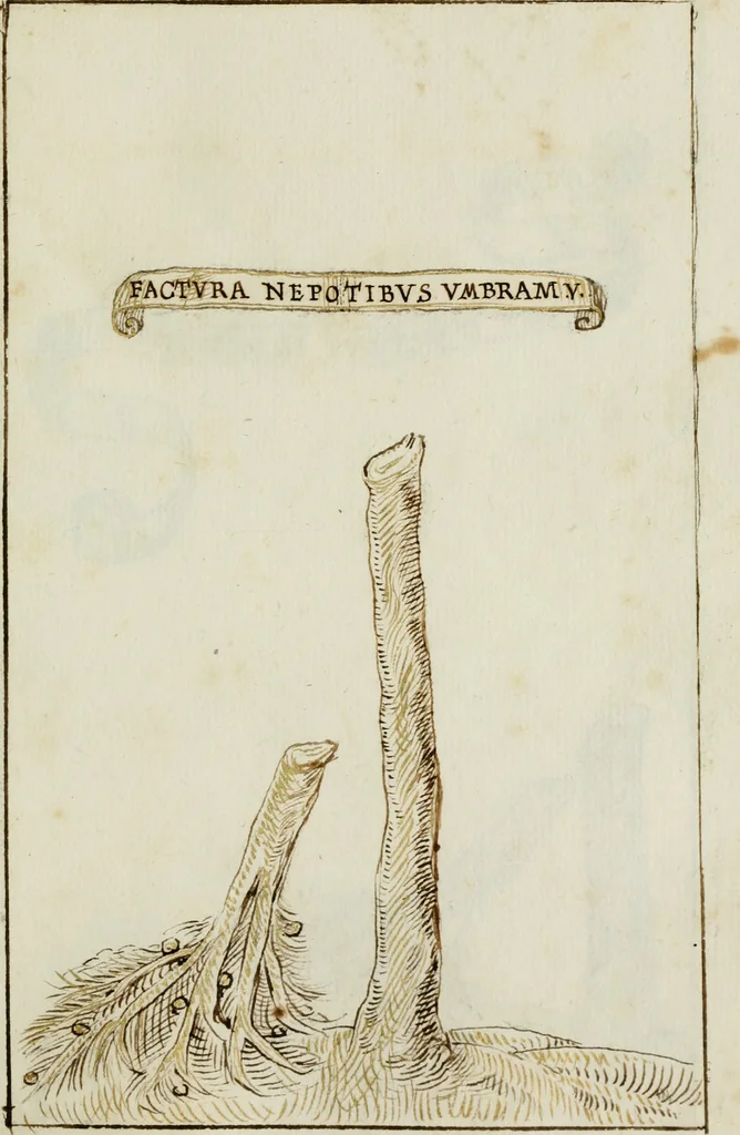 An illustration from Cento imprese, 1615, leaf 32