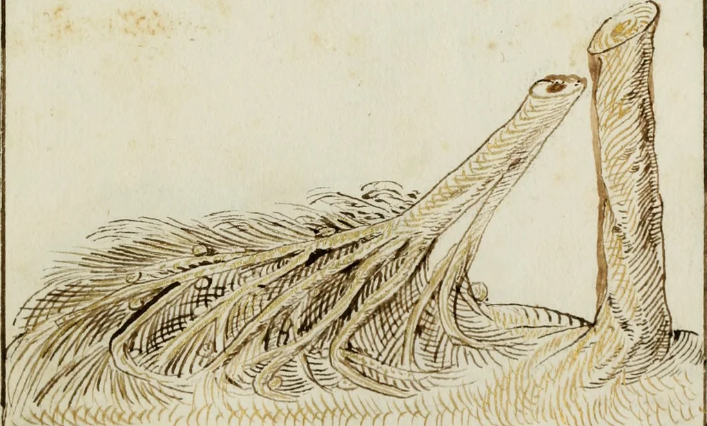 An illustration from Cento imprese, 1615, leaf 34
