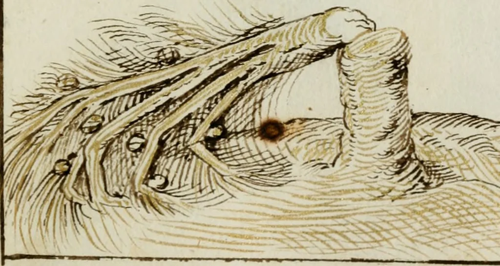 An illustration from Cento imprese, 1615, leaf 36