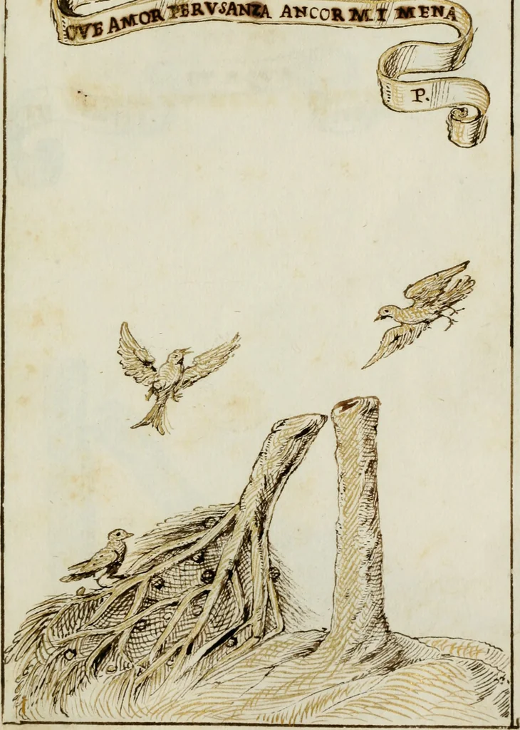 An illustration from Cento imprese, 1615, leaf 38