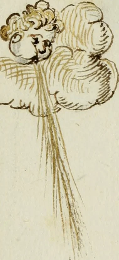 An illustration from Cento imprese, 1615, leaf 50