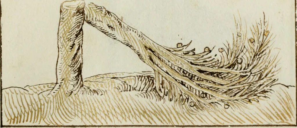 An illustration from Cento imprese, 1615, leaf 50