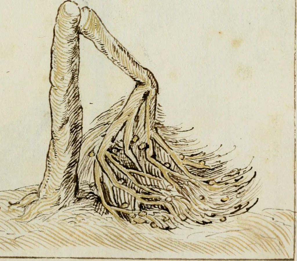 An illustration from Cento imprese, 1615, leaf 72