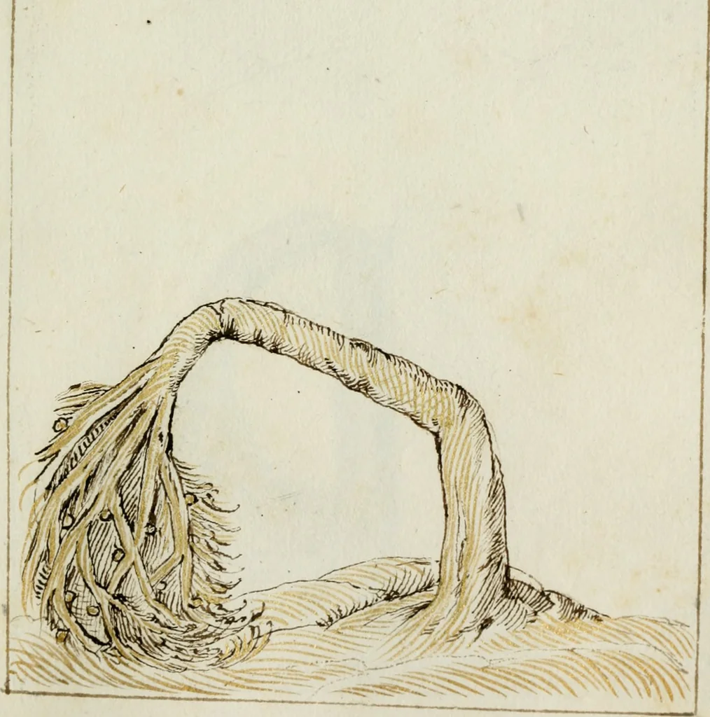 An illustration from Cento imprese, 1615, leaf 78