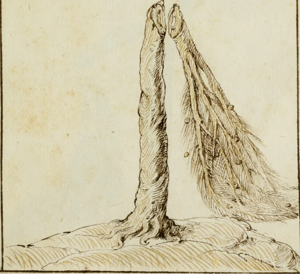 An illustration from Cento imprese, 1615, leaf 8