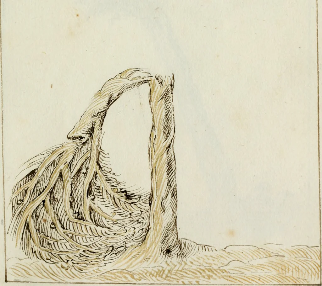 An illustration from Cento imprese, 1615, leaf 80