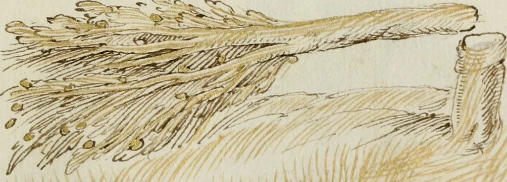 An illustration from Cento imprese, 1615, leaf 92