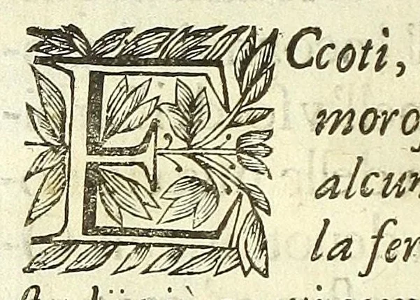 An illustration from Cento novelle amorose de i signori accademici incogniti. Diuise in trè parti, 1651, leaf 10