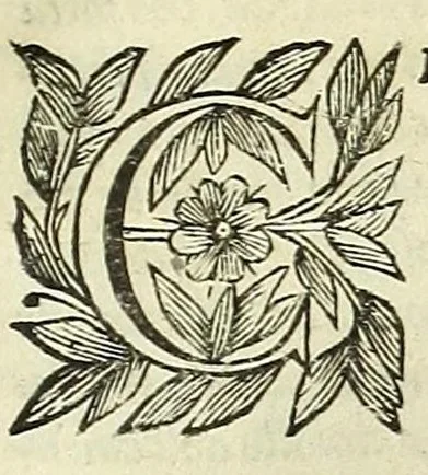 An illustration from Cento novelle amorose de i signori accademici incogniti. Diuise in trè parti, 1651, leaf 107