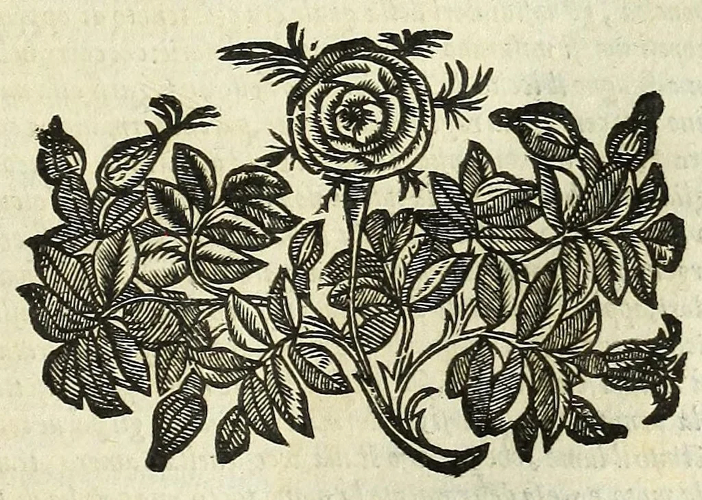 An illustration from Cento novelle amorose de i signori accademici incogniti. Diuise in trè parti, 1651, leaf 125