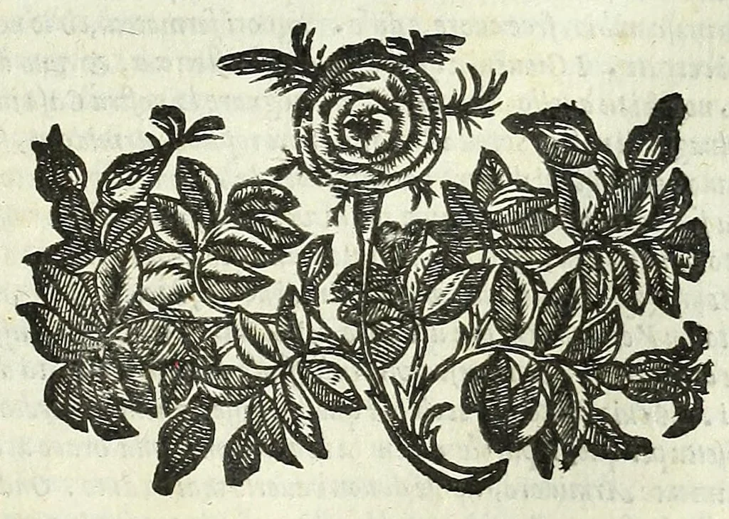 An illustration from Cento novelle amorose de i signori accademici incogniti. Diuise in trè parti, 1651, leaf 165