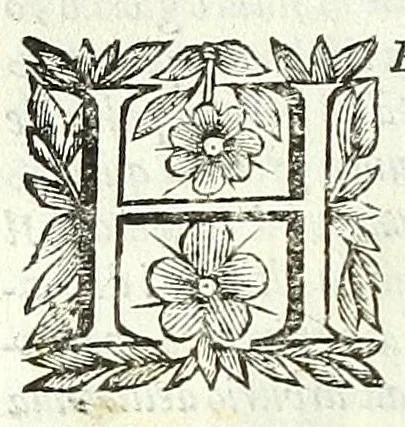 An illustration from Cento novelle amorose de i signori accademici incogniti. Diuise in trè parti, 1651, leaf 198