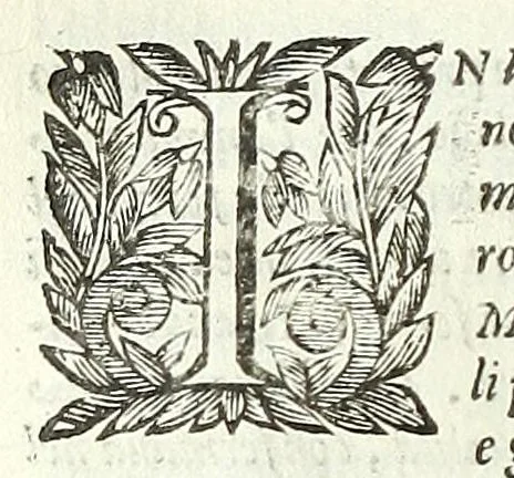 An illustration from Cento novelle amorose de i signori accademici incogniti. Diuise in trè parti, 1651, leaf 230