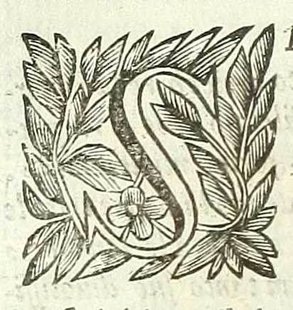 An illustration from Cento novelle amorose de i signori accademici incogniti. Diuise in trè parti, 1651, leaf 272