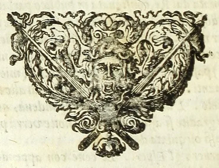 An illustration from Cento novelle amorose de i signori accademici incogniti. Diuise in trè parti, 1651, leaf 290