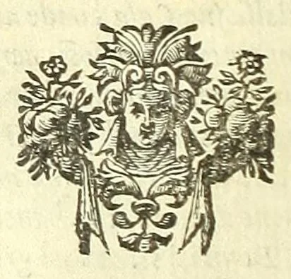 An illustration from Cento novelle amorose de i signori accademici incogniti. Diuise in trè parti, 1651, leaf 32