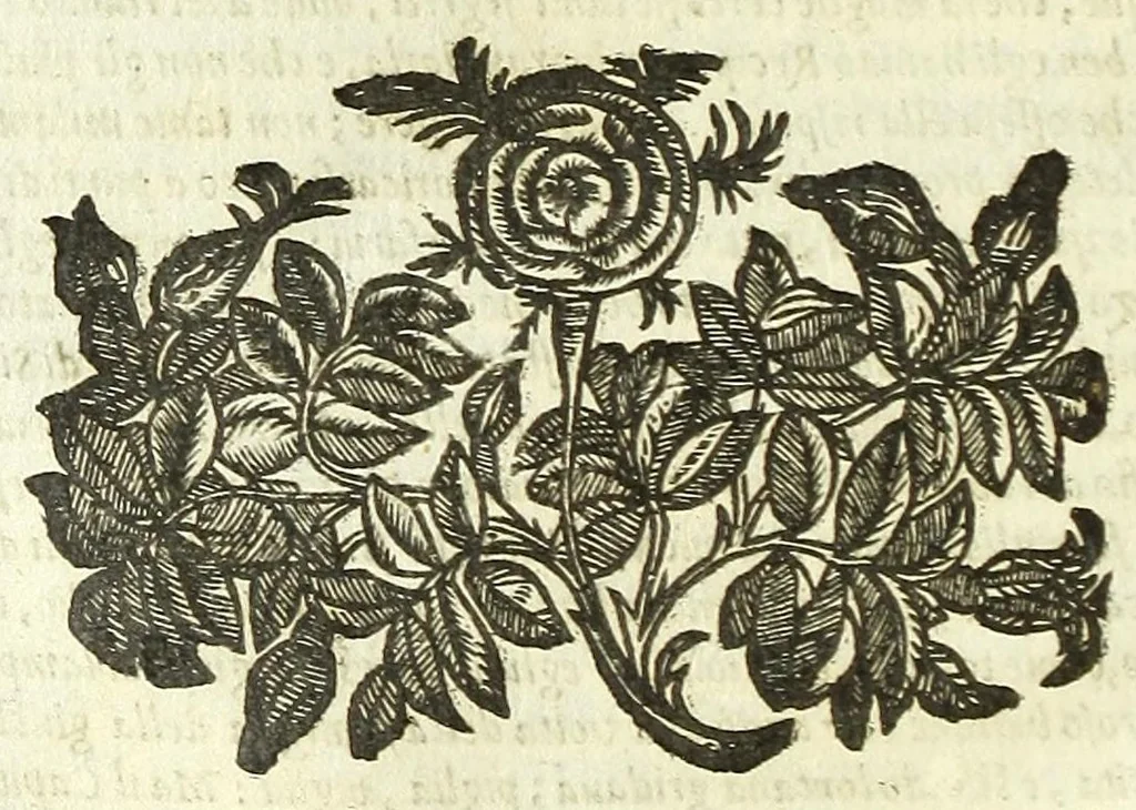 An illustration from Cento novelle amorose de i signori accademici incogniti. Diuise in trè parti, 1651, leaf 358