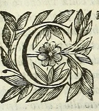 An illustration from Cento novelle amorose de i signori accademici incogniti. Diuise in trè parti, 1651, leaf 375