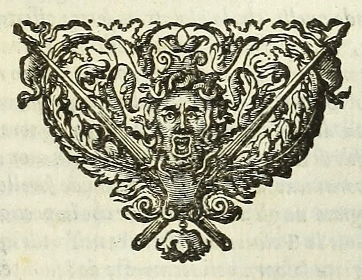 An illustration from Cento novelle amorose de i signori accademici incogniti. Diuise in trè parti, 1651, leaf 395