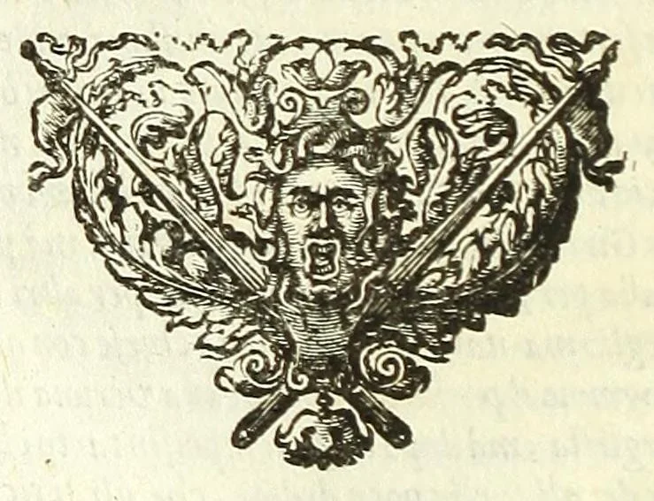 An illustration from Cento novelle amorose de i signori accademici incogniti. Diuise in trè parti, 1651, leaf 438
