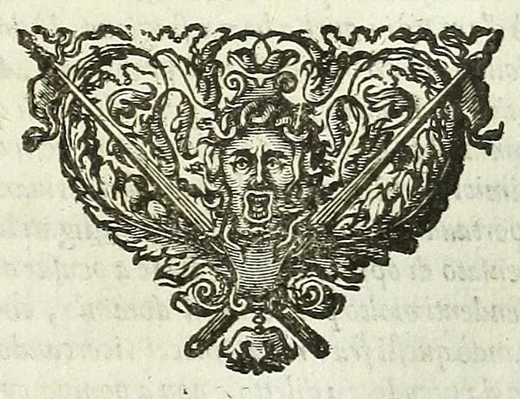 An illustration from Cento novelle amorose de i signori accademici incogniti. Diuise in trè parti, 1651, leaf 569