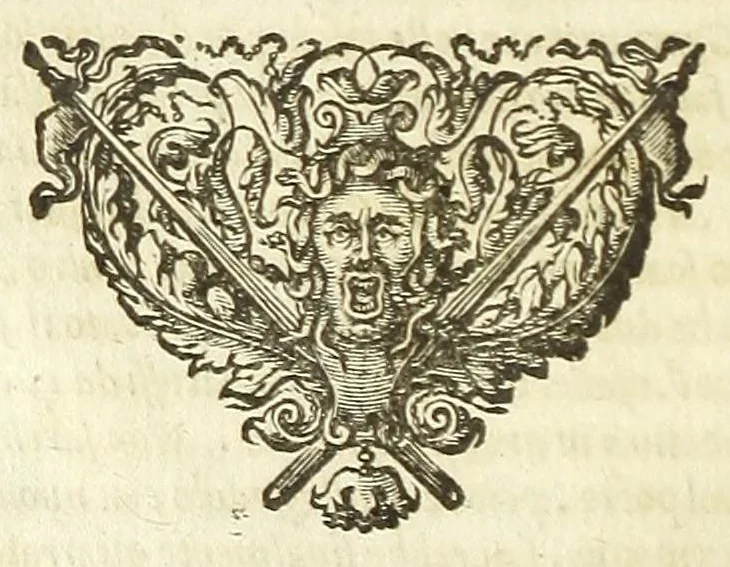 An illustration from Cento novelle amorose de i signori accademici incogniti. Diuise in trè parti, 1651, leaf 654