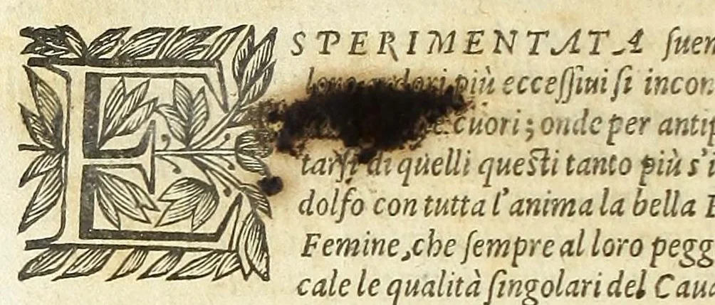 An illustration from Cento novelle amorose de i signori accademici incogniti. Diuise in trè parti, 1651, leaf 670