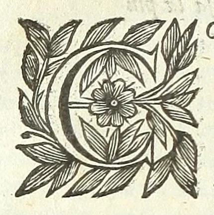 An illustration from Cento novelle amorose de i signori accademici incogniti. Diuise in trè parti, 1651, leaf 716