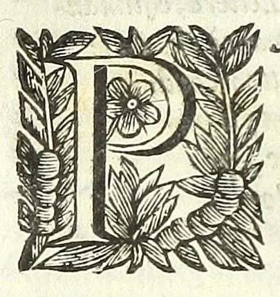 An illustration from Cento novelle amorose de i signori accademici incogniti. Diuise in trè parti, 1651, leaf 72