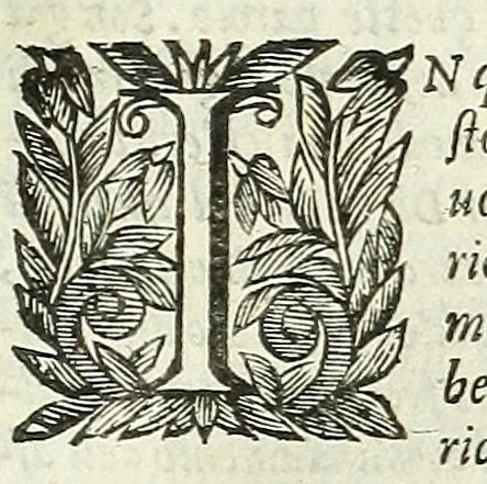 An illustration from Cento novelle amorose de i signori accademici incogniti. Diuise in trè parti, 1651, leaf 87