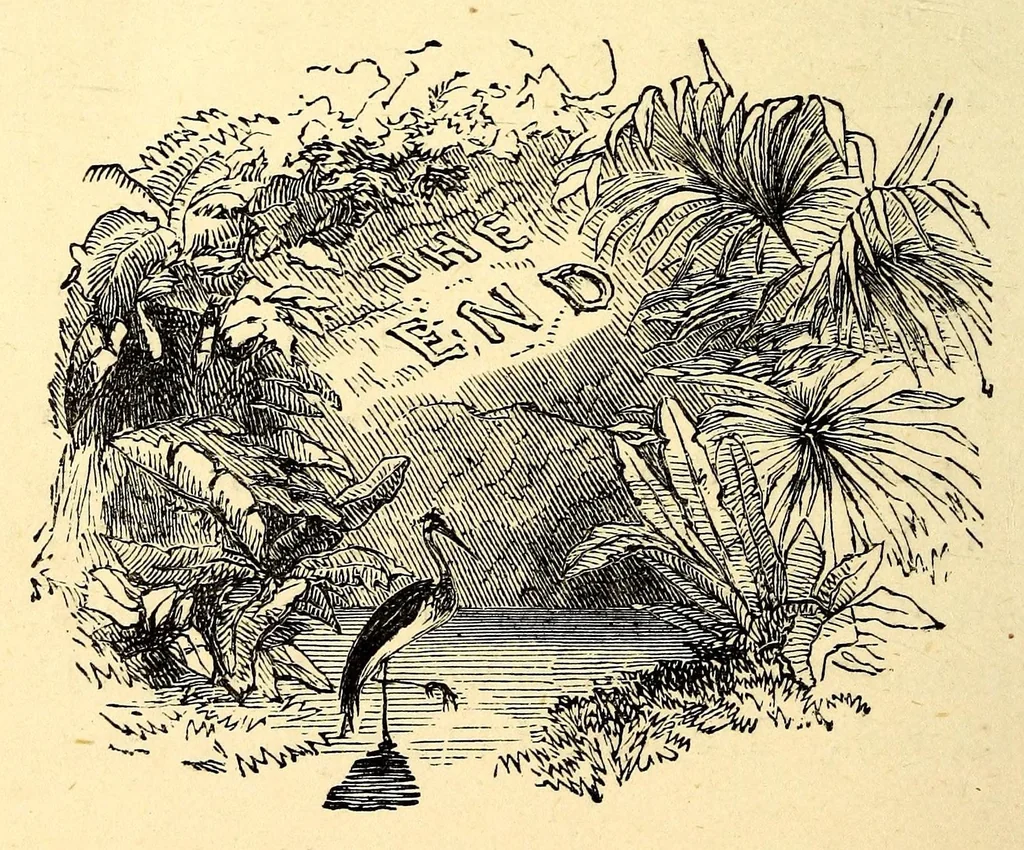 An illustration from Central Africa, Japan and Fiji: a story of missionary enterprise, trials and triumphs, 1882, leaf 310