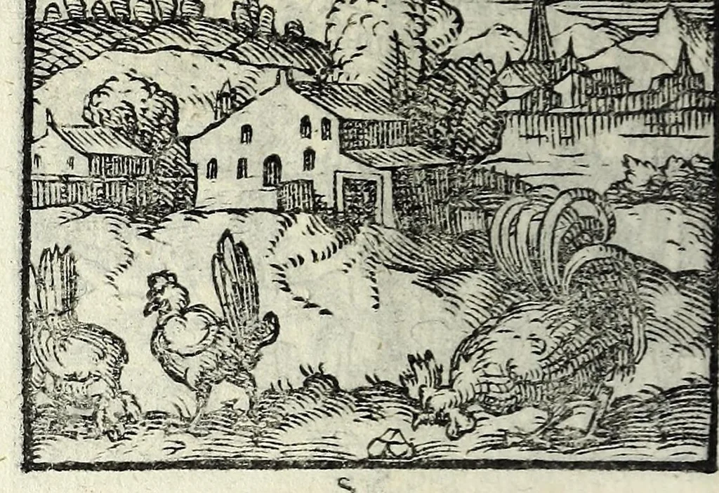 An illustration from Centvm fabvlae ex antiqvis scriptoribus acceptae, et graecis latinisq́; tetrastichis senarijs explicatae, 1587, leaf 112