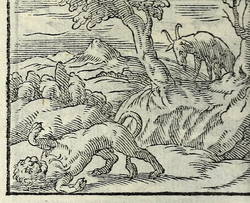 An illustration from Centvm fabvlae ex antiqvis scriptoribus acceptae, et graecis latinisq́; tetrastichis senarijs explicatae, 1587, leaf 124