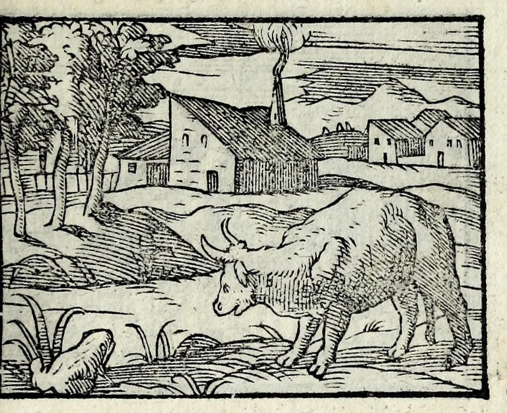 An illustration from Centvm fabvlae ex antiqvis scriptoribus acceptae, et graecis latinisq́; tetrastichis senarijs explicatae, 1587, leaf 129